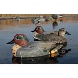 Avery 73021 700905730216 Avery Life-size Green-winged Teal 73021